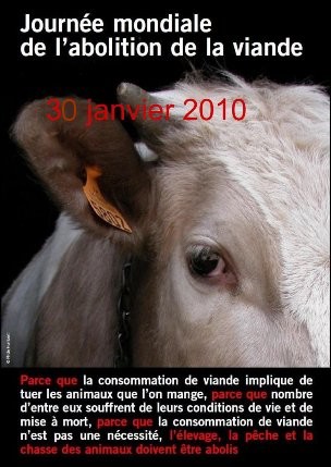 abolition