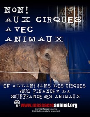 cirque
