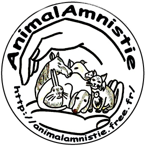 logoAA