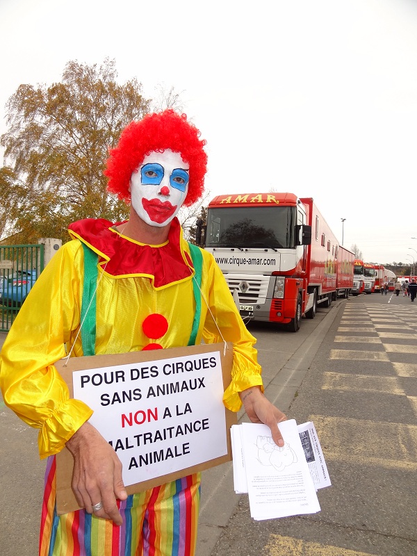 cirque1