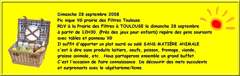 pique nique sept 08